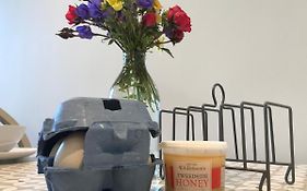The West Lodge -Dog Friendly, Cosy, Scottish Borders Cottage